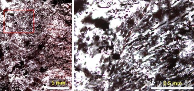 地大团队在沉积岩中发现远古生命痕迹：地球生命起源时间至少提前3亿年