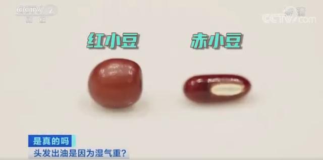 别放错了！红豆薏米粥的红豆是赤小豆