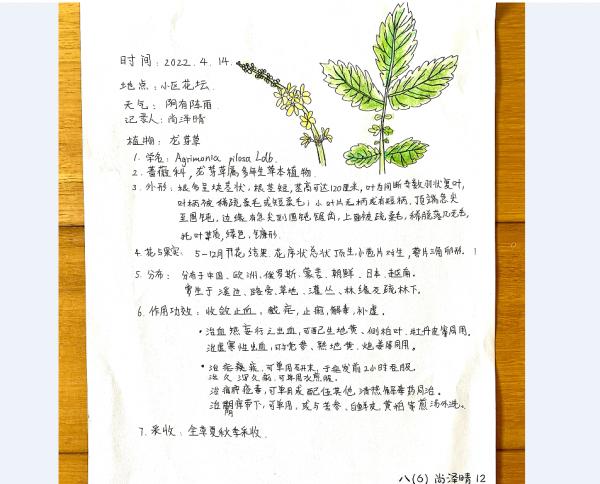 “线上科普”传递抗疫力量 位育初级中学科技节活动（三）