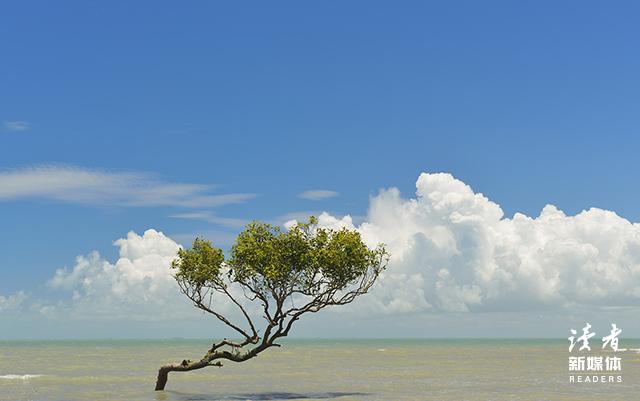 10条王尔德笔下的句子，爱自己是终身浪漫的开始