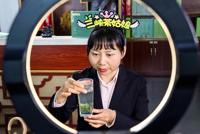 「图集」“谷雨茶”上市：小叶子大产业，从传统手工采摘到智能化生产线