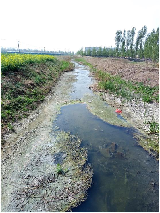 山东省地矿局五院全力保障泰山区域山水林田湖草生态保护修复工程