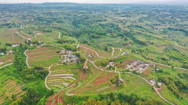 广安区：建设现代农业园区，推行农旅融合发展