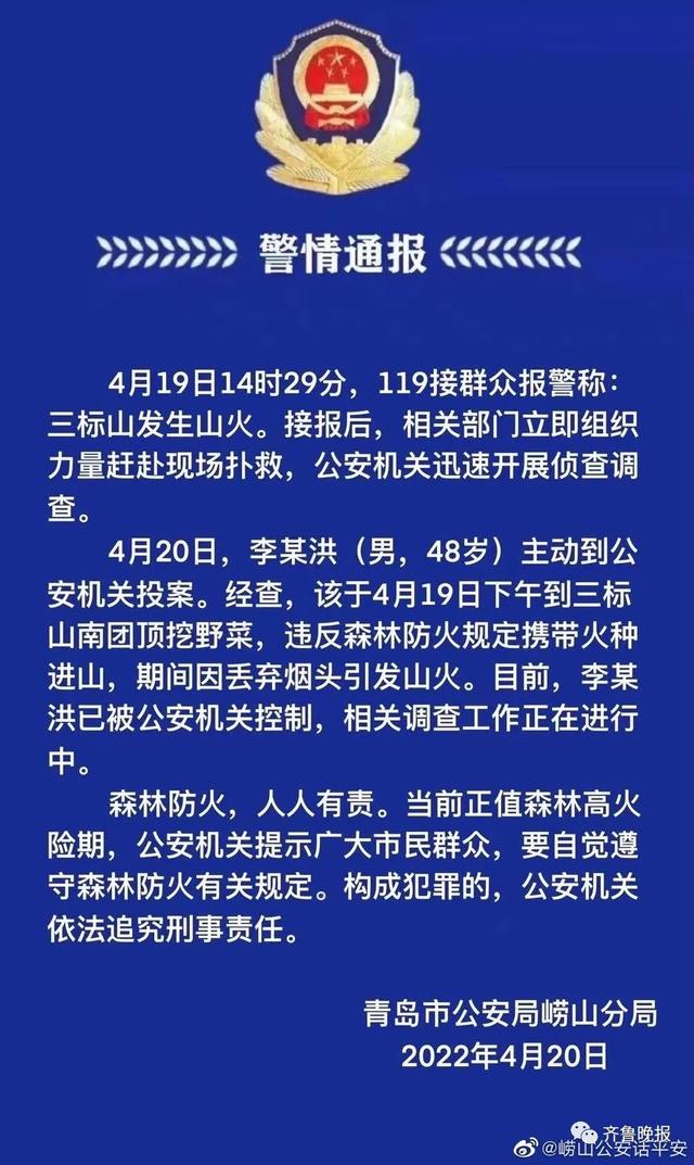 扑救持续一夜！男子乱扔烟头引发青岛三标山山火，大风导致复燃