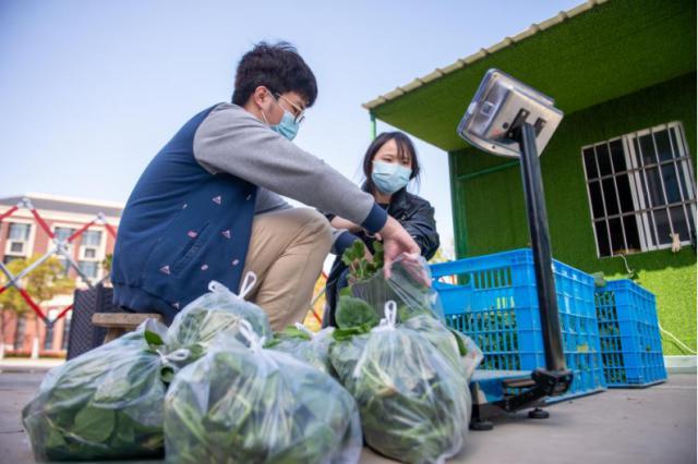 上海高校师生用“劳动”守护校园