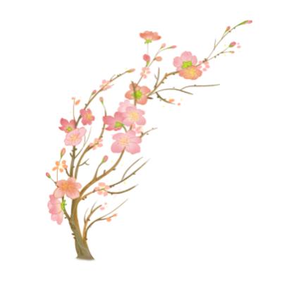愿谷雨初晴后，一城万物新