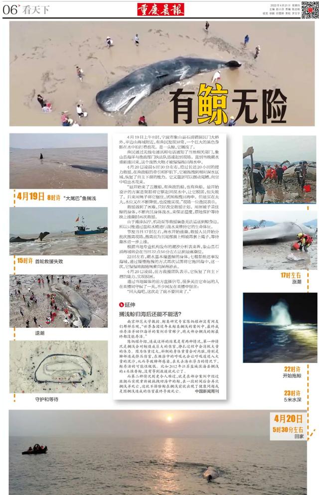 今日早报｜请注意！今天起支付宝有重大变化，你的资金不能免费提现了