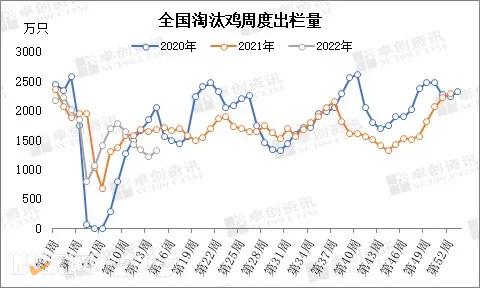 二季度蛋价有回落风险！蛋鸡存栏量触底微增，库存水平不一