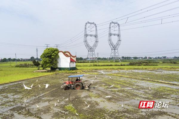 农业现代化助力乡村振兴！谷雨时节，田间处处机器轰鸣
