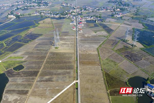 农业现代化助力乡村振兴！谷雨时节，田间处处机器轰鸣