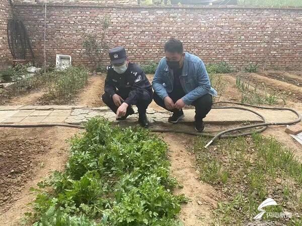 禁种铲毒！济南市中公安无人机巡查发现罂粟原植株