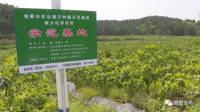助力乡村振兴！驻村工作队把技术送到群众身边