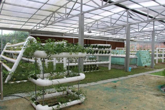 低碳科技体验馆、生态智能大棚……龙泉驿这所绿色低碳生态学校升级了！