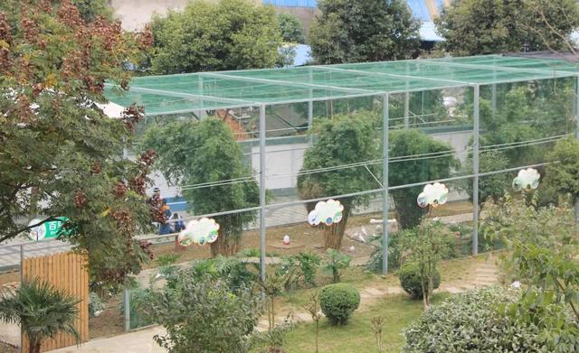 低碳科技体验馆、生态智能大棚……龙泉驿这所绿色低碳生态学校升级了！