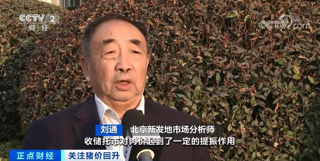 涨！涨！涨！猪肉价格，反弹了！为什么？接下来怎么走→
