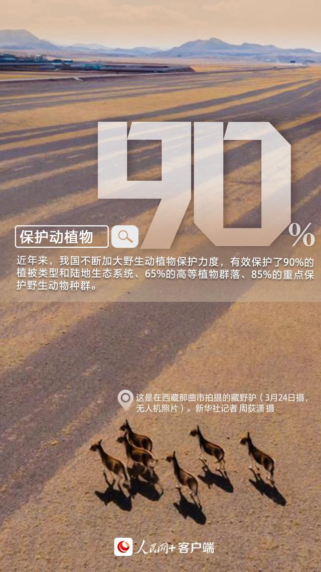 世界地球日丨共筑绿色发展，数说中国行动