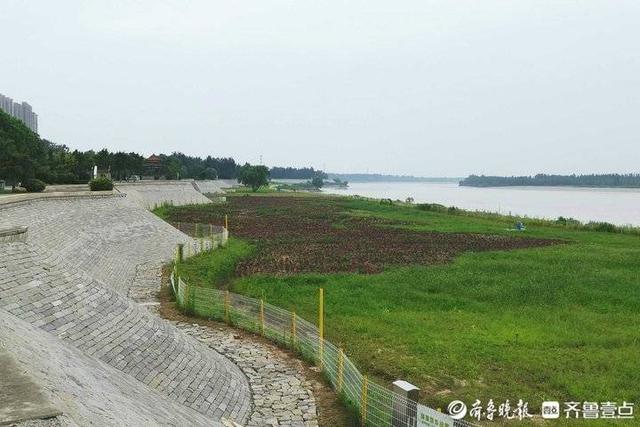 济南百里黄河风景区发布公告 即日起恢复开放