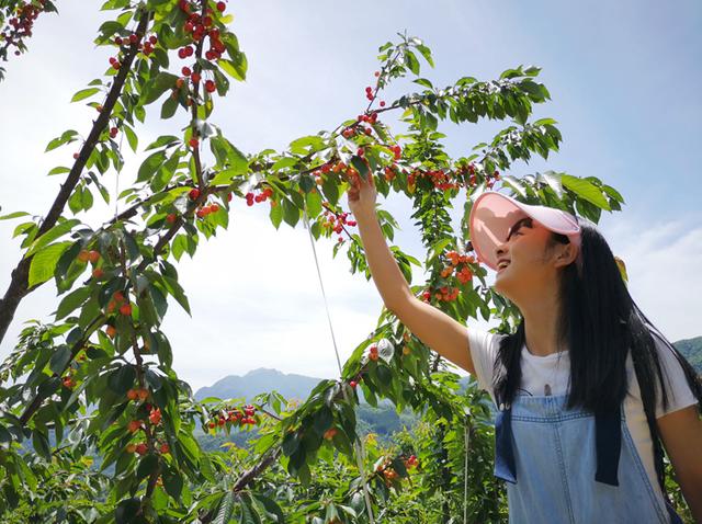 假期首日带你躺游热门景区