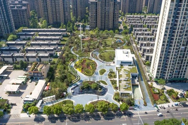 正式开放！丽水首个以“市花”杜鹃为主题的城市公园来了