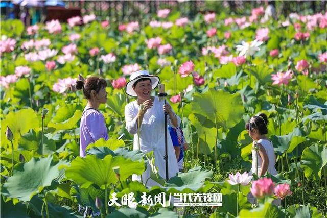 省第十三次党代会主席团名单公布（81名）
