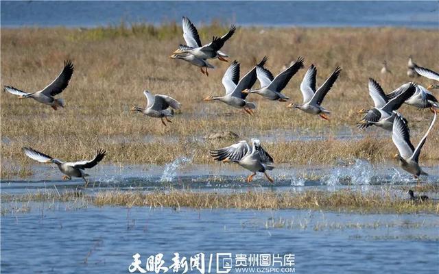 省第十三次党代会主席团名单公布（81名）