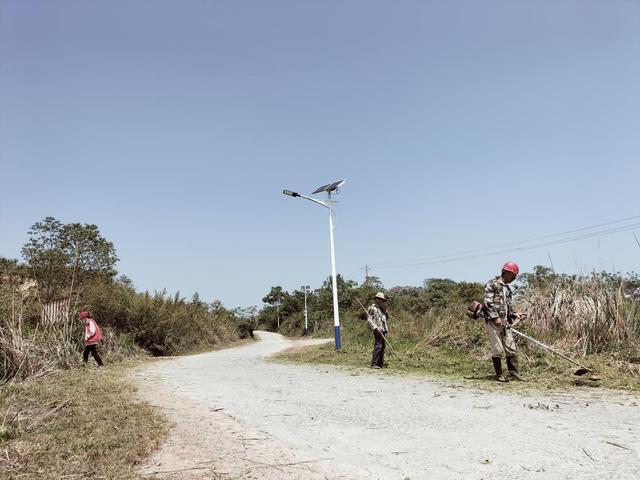贵池区里山街道：清理路边杂草 美化人居环境