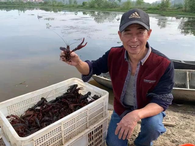 吃过冇？鄂州有种小龙虾喝豆浆红糖水长大