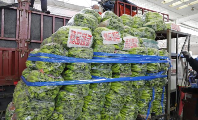 首衡河北新发地农产品日进场量3.7万吨，供应充足