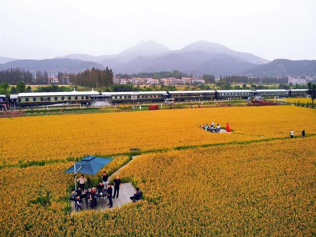 黄梅县入选湖北省第二批省级全域旅游示范区创建单位名单