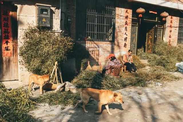 甲辰年是哪一年