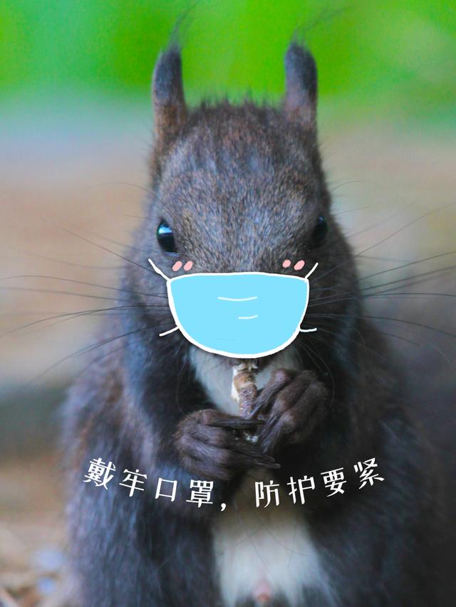 北京今天晚高峰提前！假期气温回升，这些地方拥堵，游园重要提醒