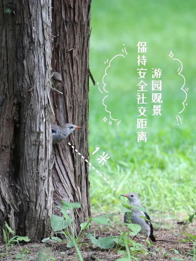 北京今天晚高峰提前！假期气温回升，这些地方拥堵，游园重要提醒