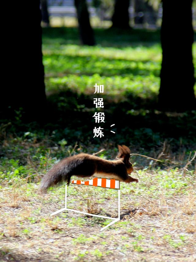 北京今天晚高峰提前！假期气温回升，这些地方拥堵，游园重要提醒