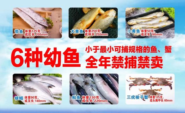 今天12时起禁渔！记者走访海鲜市场，价格变化帮你问清楚了
