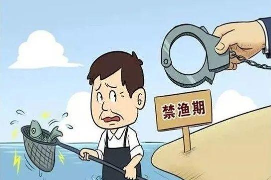 今天12时起禁渔！记者走访海鲜市场，价格变化帮你问清楚了