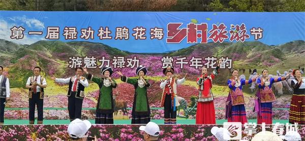 文旅赋能乡村振兴 禄劝杜鹃花海乡村旅游节今天开幕