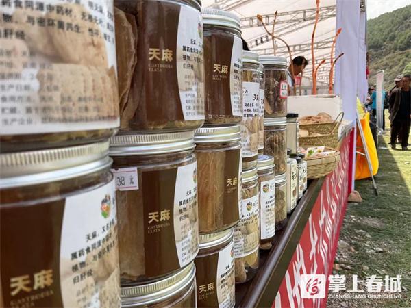 文旅赋能乡村振兴 禄劝杜鹃花海乡村旅游节今天开幕