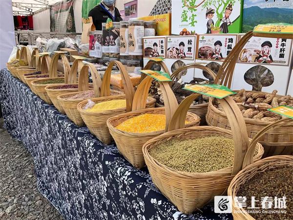 文旅赋能乡村振兴 禄劝杜鹃花海乡村旅游节今天开幕
