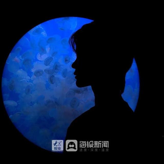 美人鱼回来度假了！假期首日，日照海洋公园热闹非凡