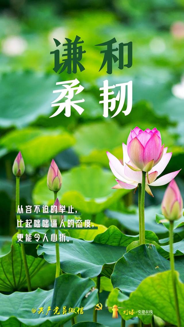 致更好的自己：五月，向阳生长！