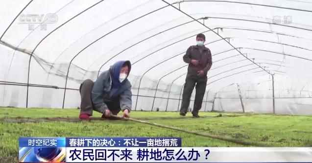 春耕大幕拉开 吉林省多措并举确保不让一亩地撂荒