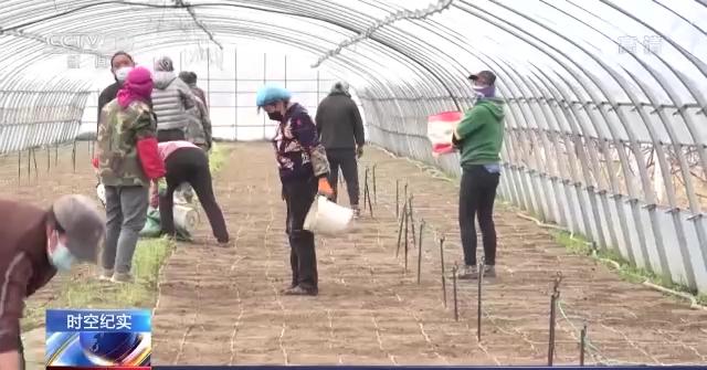 春耕大幕拉开 吉林省多措并举确保不让一亩地撂荒