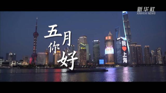 上海战疫一月间