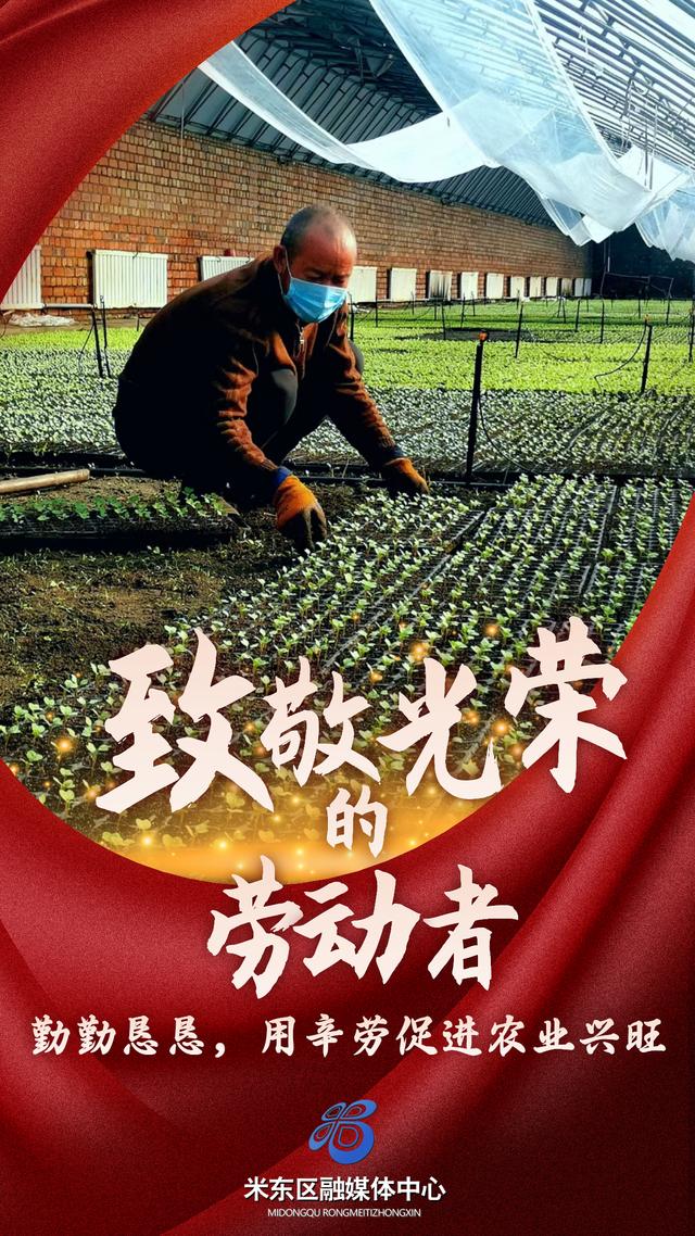 米东区：五一，致敬平凡，致敬不凡！