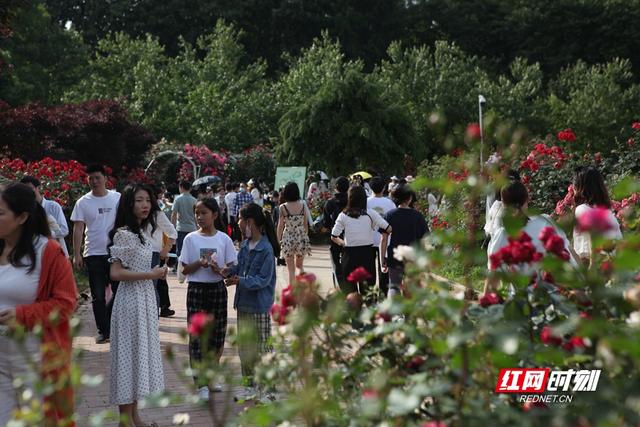 这么近·那么美丨5月2日：湖南迎出游小高峰 张家界回暖势头明显