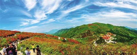 假日旅游乐