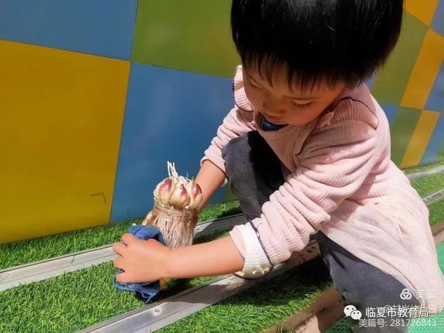 「主题活动」临夏市甘光幼儿园“五一劳动节”主题活动