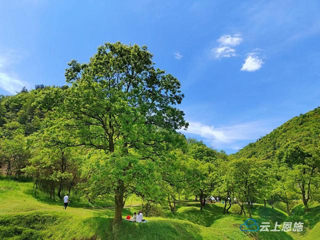 五一长假 建始亲子游 乡村游受热捧
