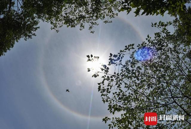 五一假期最后一天 成都天空又现“日晕”惊艳朋友圈