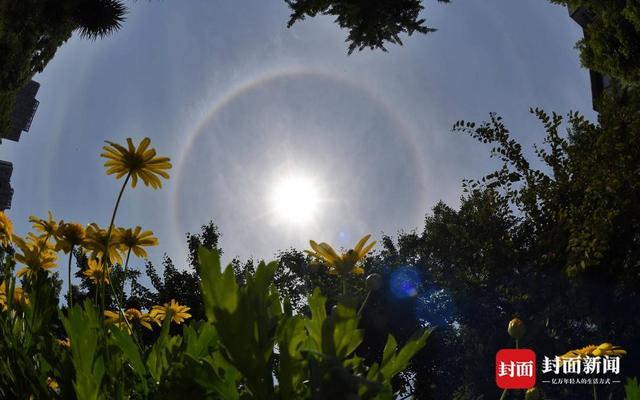 五一假期最后一天 成都天空又现“日晕”惊艳朋友圈